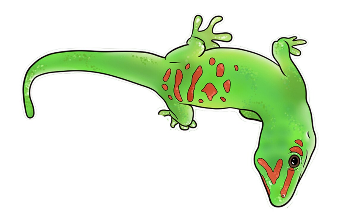 Cartoon Reptile Sticker Pack - Etsy