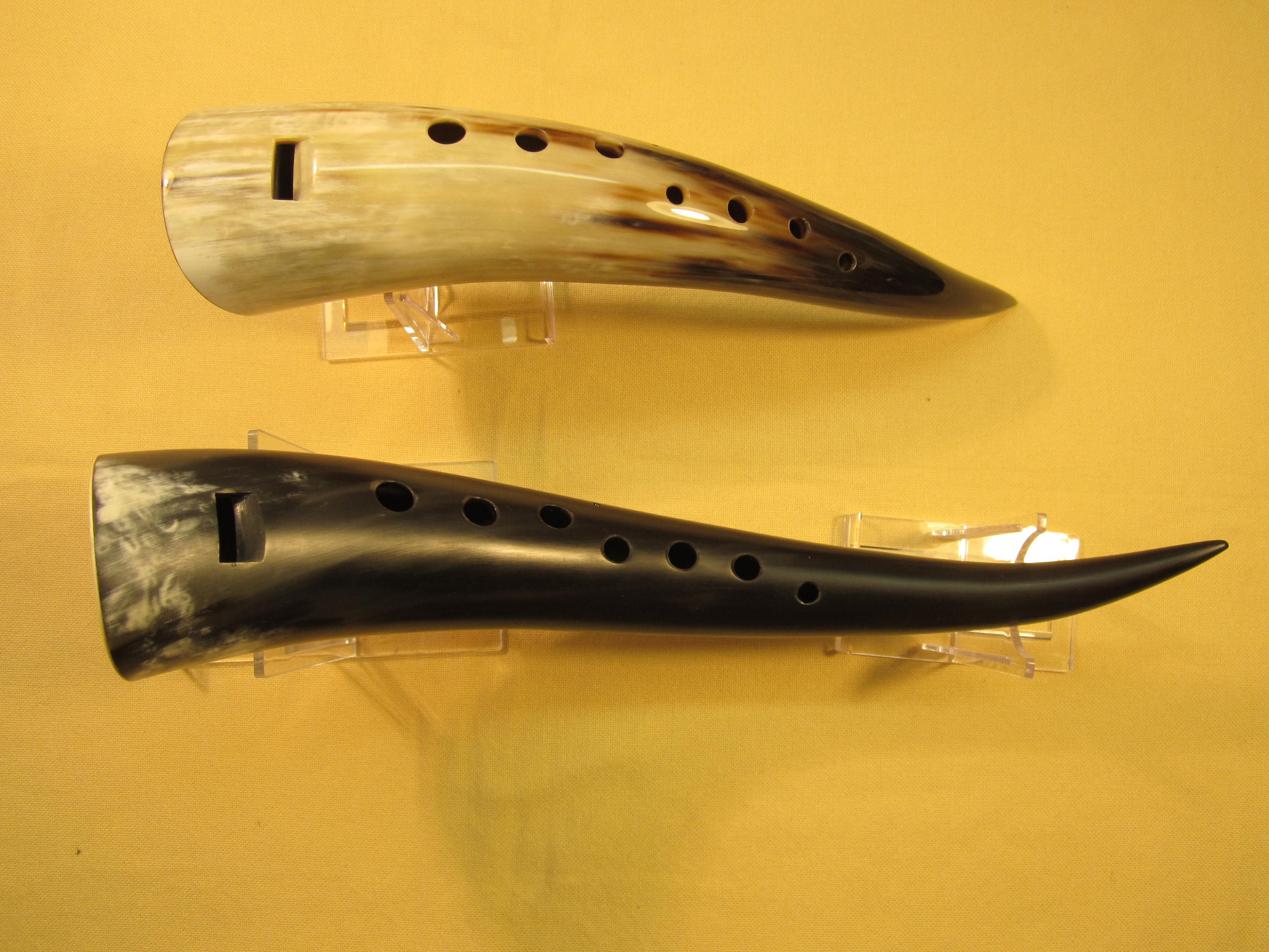 Horn flute 2024