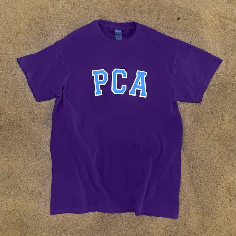 K&ouml;nnte beinhalten: Lilafarbenes T-Shirt mit den Buchstaben PCA in blau, umrandet mit wei&szlig;.