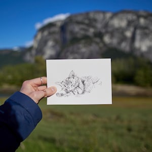 Chat endormi - impression A6 noir et blanc / carte postale - illustration dessinée à la main