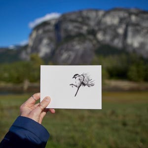 Mésange charbonnière - impression noir et blanc A6 / carte postale - illustration dessinée à la main