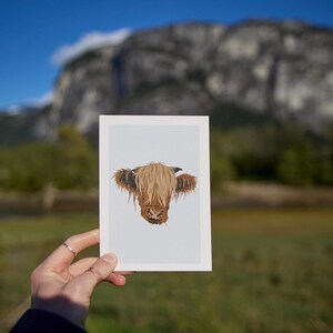 Animal vache Highland - impression A6 / carte postale - dessin Illustration numérique