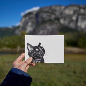 Chaton - impression noir et blanc A6 / carte postale - illustration dessinée à la main