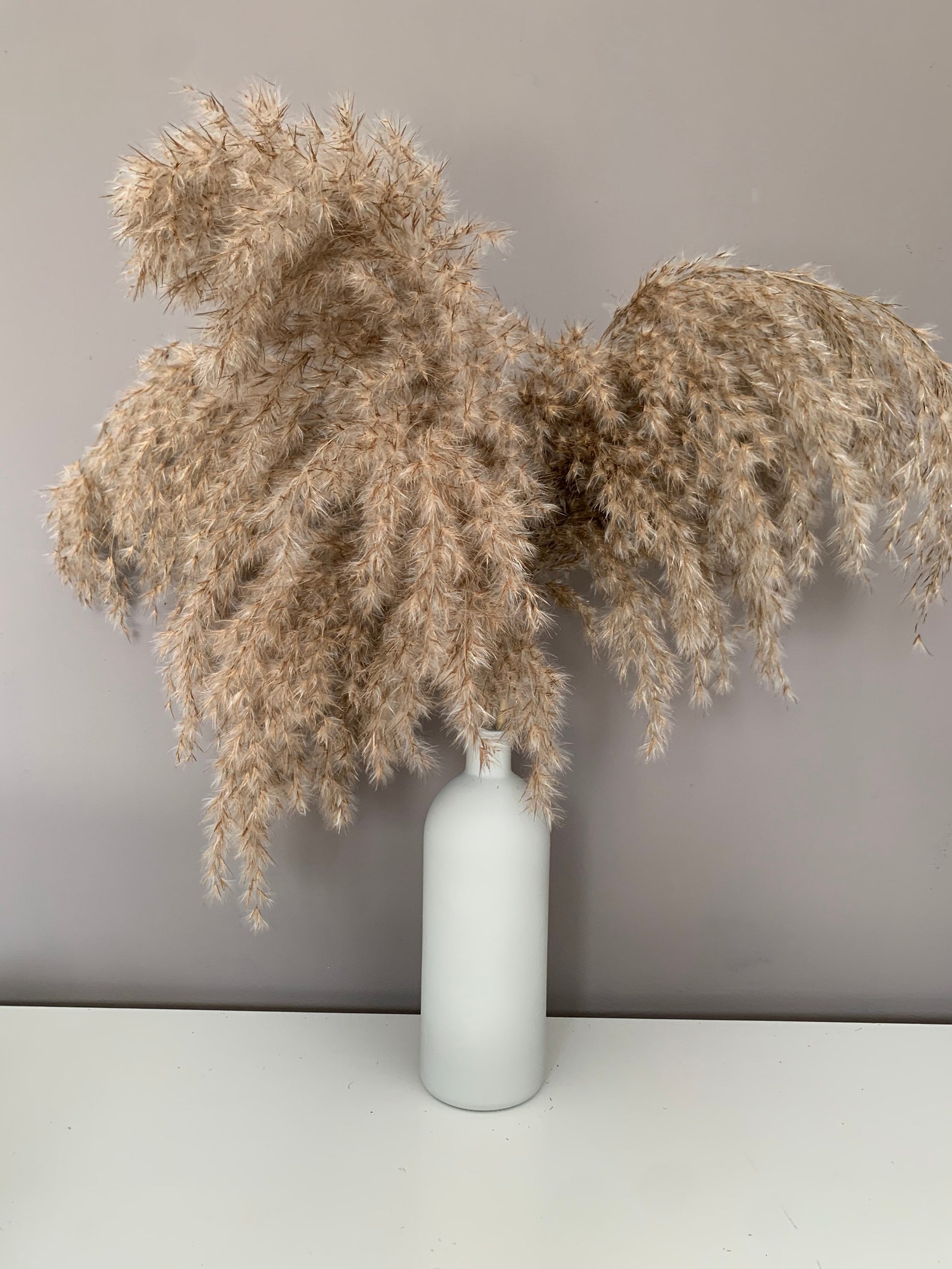 large cream vase for pampas grass
