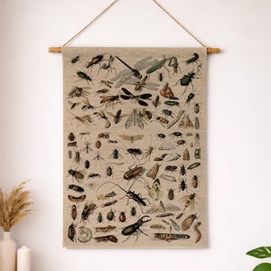 Op de afbeelding: Een rechthoekige wandhanger van beige stof met een gedetailleerde wetenschappelijke illustratie van diverse insecten, waaronder kevers, libellen, motten en sprinkhanen, opgehangen aan een houten roede met een dun bruin touwtje.