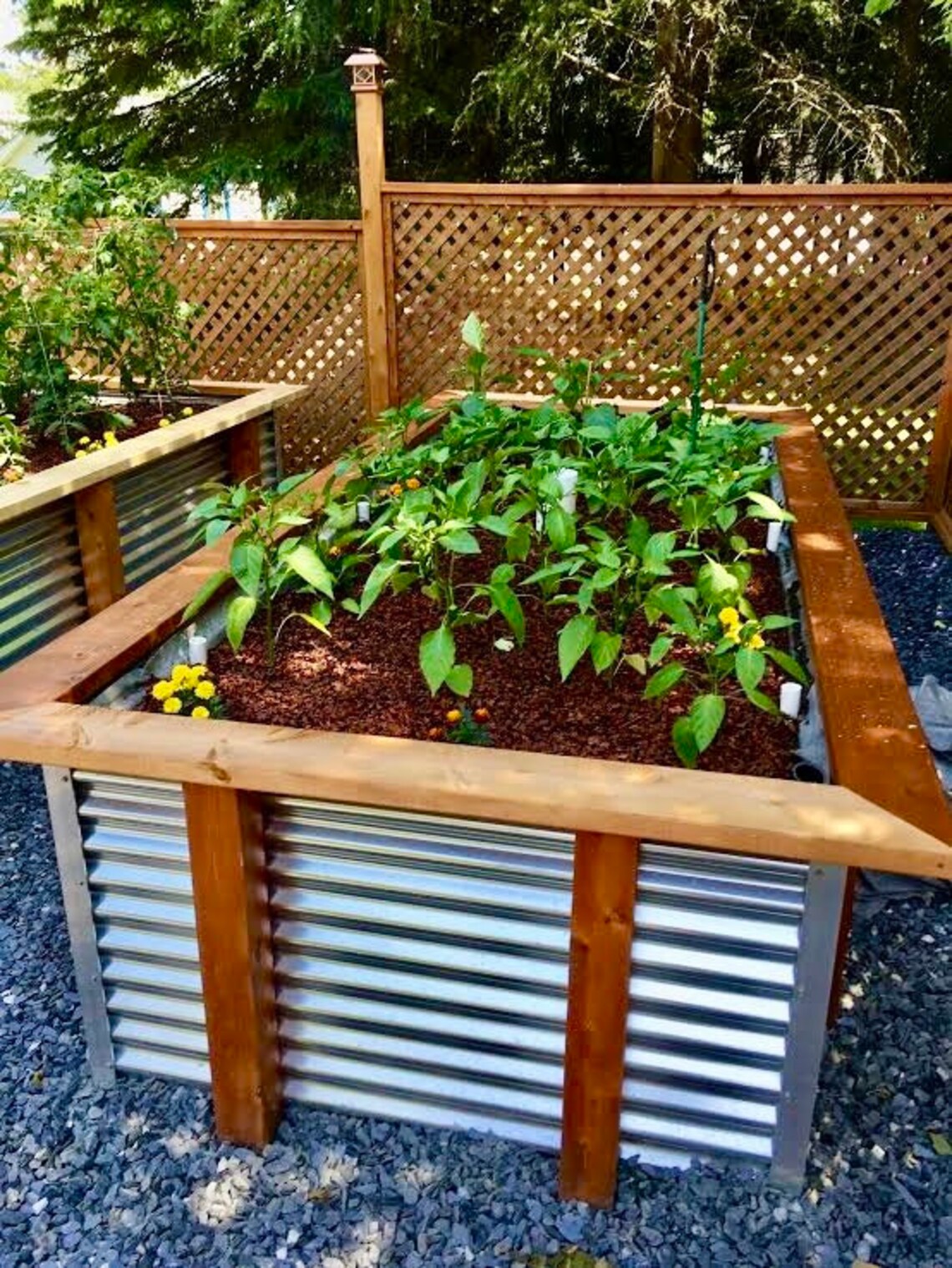 Garden Raised Bed Wicking Greenhouse plans 2.0 Next Etsy