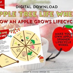 Apple Tree Lifecycle Lesson, Apple Life Cycle Wheel, Apple Unit Lesson, Fall Activity for kids, Homeschool Learning Activities, Montessori