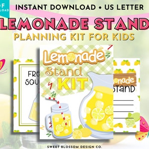 Lemonade Stand Dramatic Play, Lemonade Sign, Lemonade Stand Bundle, Dramatic Play Summer, Lemonade Party Invitation, Pretend Play Summer