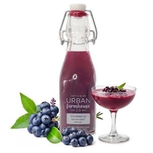Strawberry Blueberry Shrubs Handmade Plant Derived Small Batch Organic Cocktail Mixer Drinking Vinegar Gifts Gut Health Wellness Enthusiast