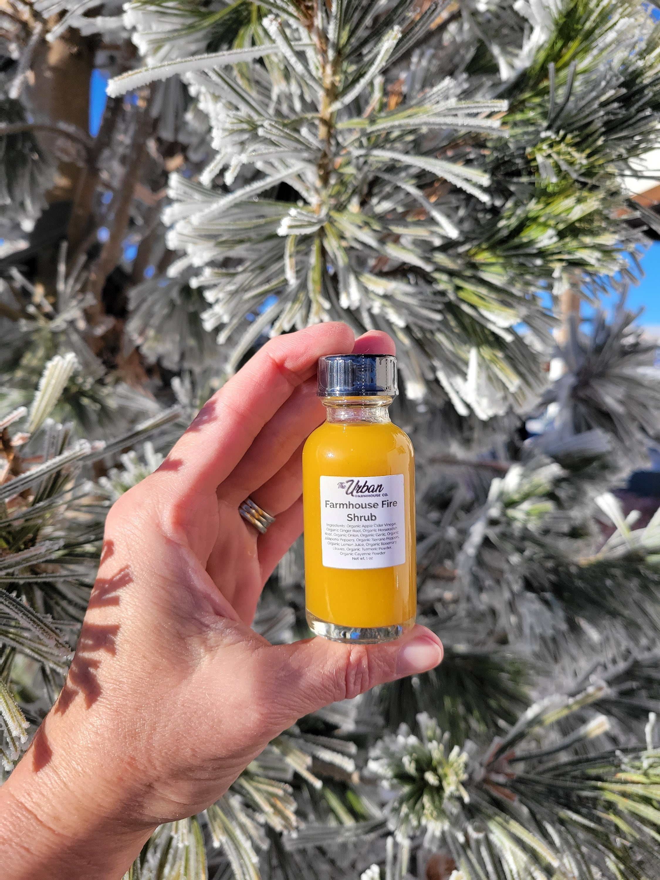 1 oz Vinegar Shrub Shots Plantbased 100 Natural Infused Vinegar