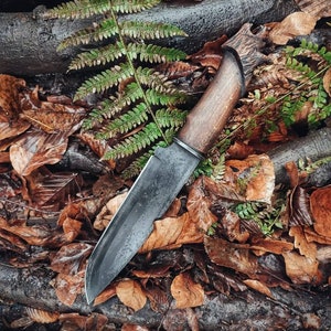 May include: A black-handled knife with a dark metal blade, lying on a bed of brown leaves and a green fern.