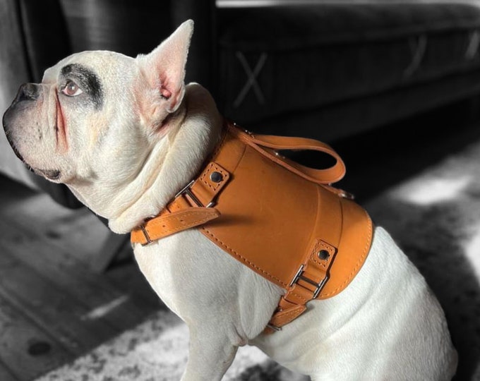 Handmade Real Leather Dog Chest Harness and Walking Leash Set - Natural and Elegant