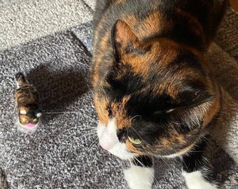 Mini Meow: handgemachtes, gefilztes Katzenspielzeug nach dem Fellmuster deiner Katze
