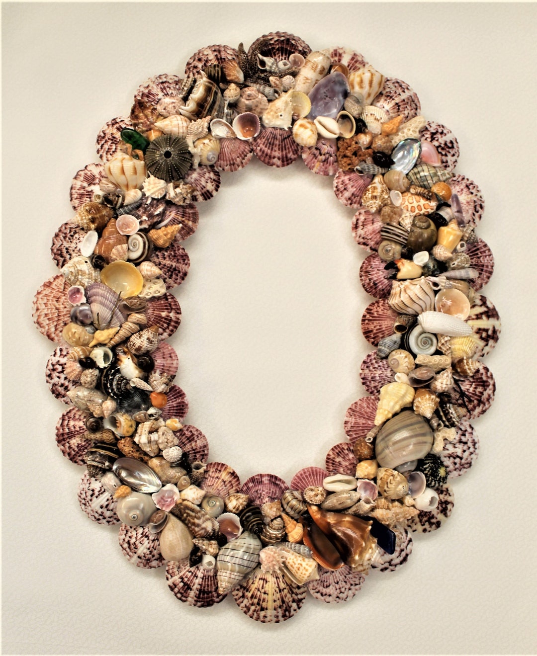 Handmade Oval Florida Seashell Mirror 14x18 Etsy