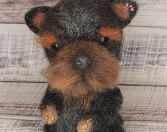 interter toy yorkshire terrier