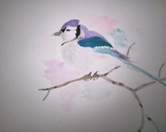 Cute Blue Jay Art Etsy Cute Blue Jay Art Etsy