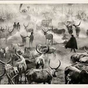 Sebastiao Salgado - Limited edition photolithograph, 33x25 cm