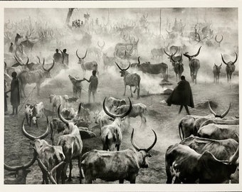 Sebastiao Salgado - Limited edition photolithograph, 33x25 cm