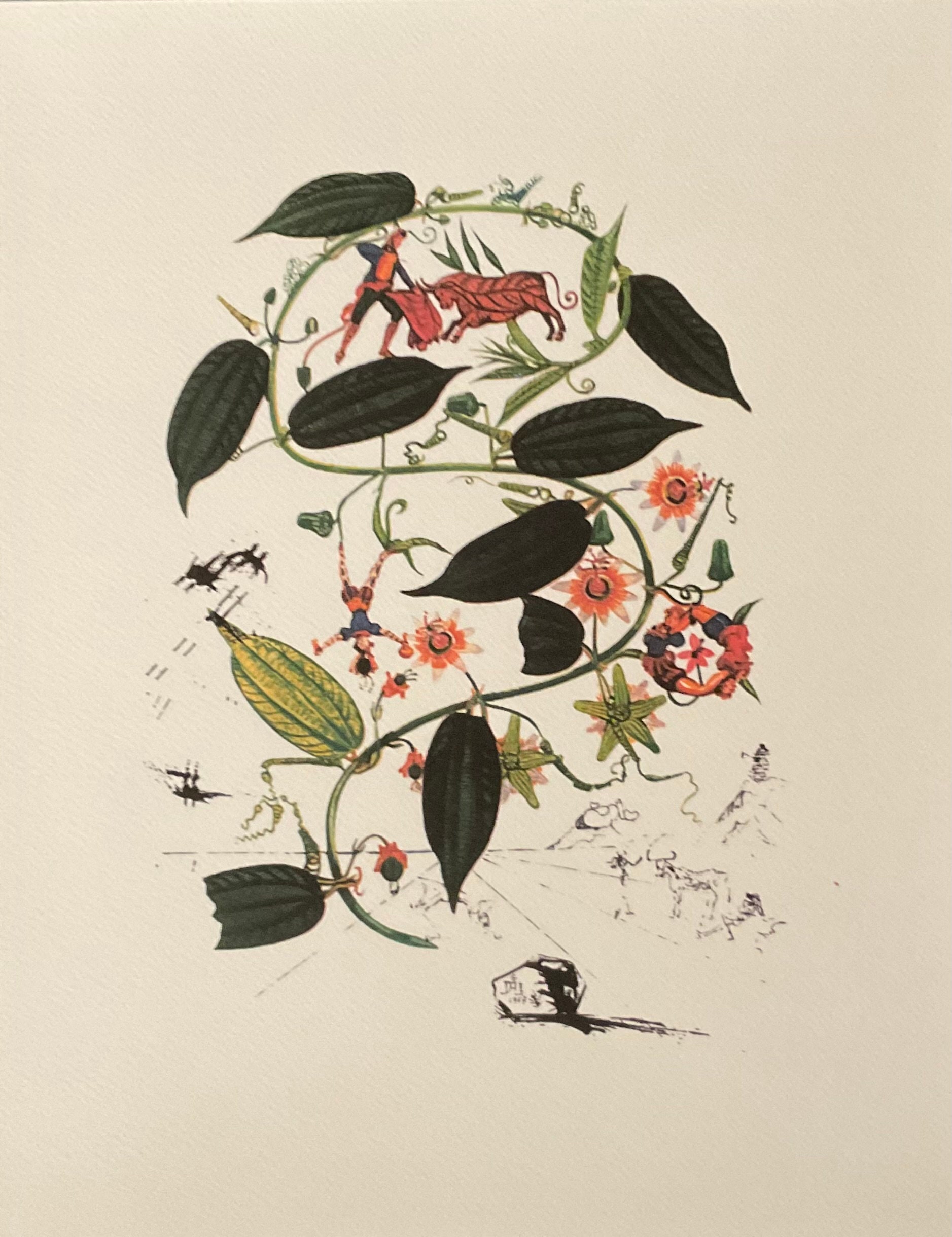 Salvador Dalí lithograph 限定175 Salvador Dalì Lithograph COA Original Signed Numbered In