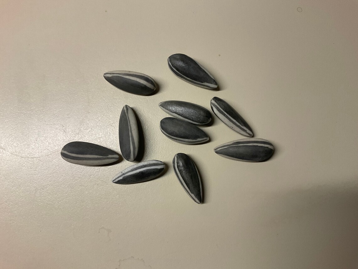 Ai Weiwei 10 Porcelain Sunflower Seeds Etsy