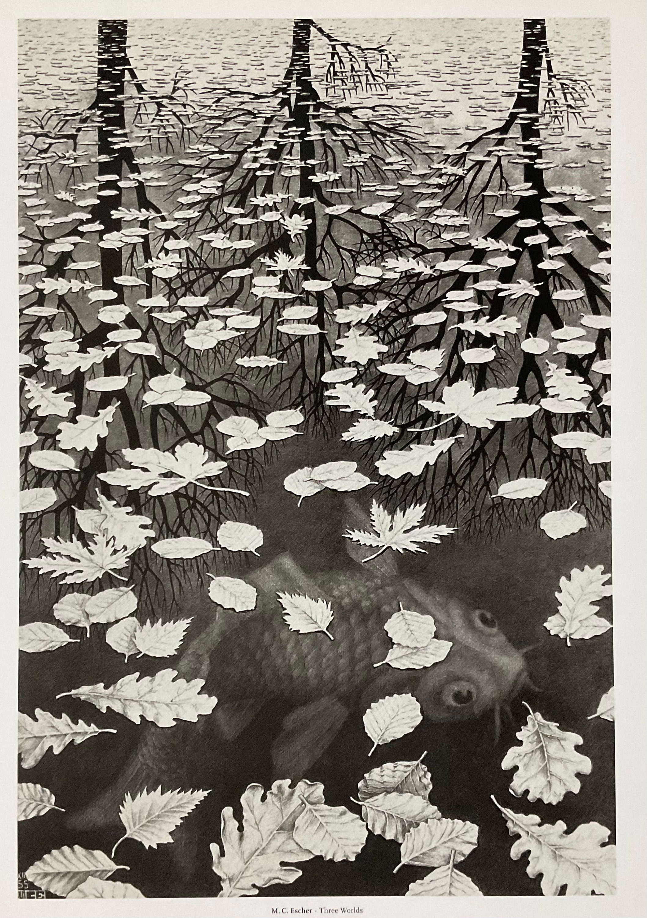 ロートレック 【AMBASSADEURS】　lithograph M.C. Escher - Three Worlds - Offset Lithograph Cm 36x28
