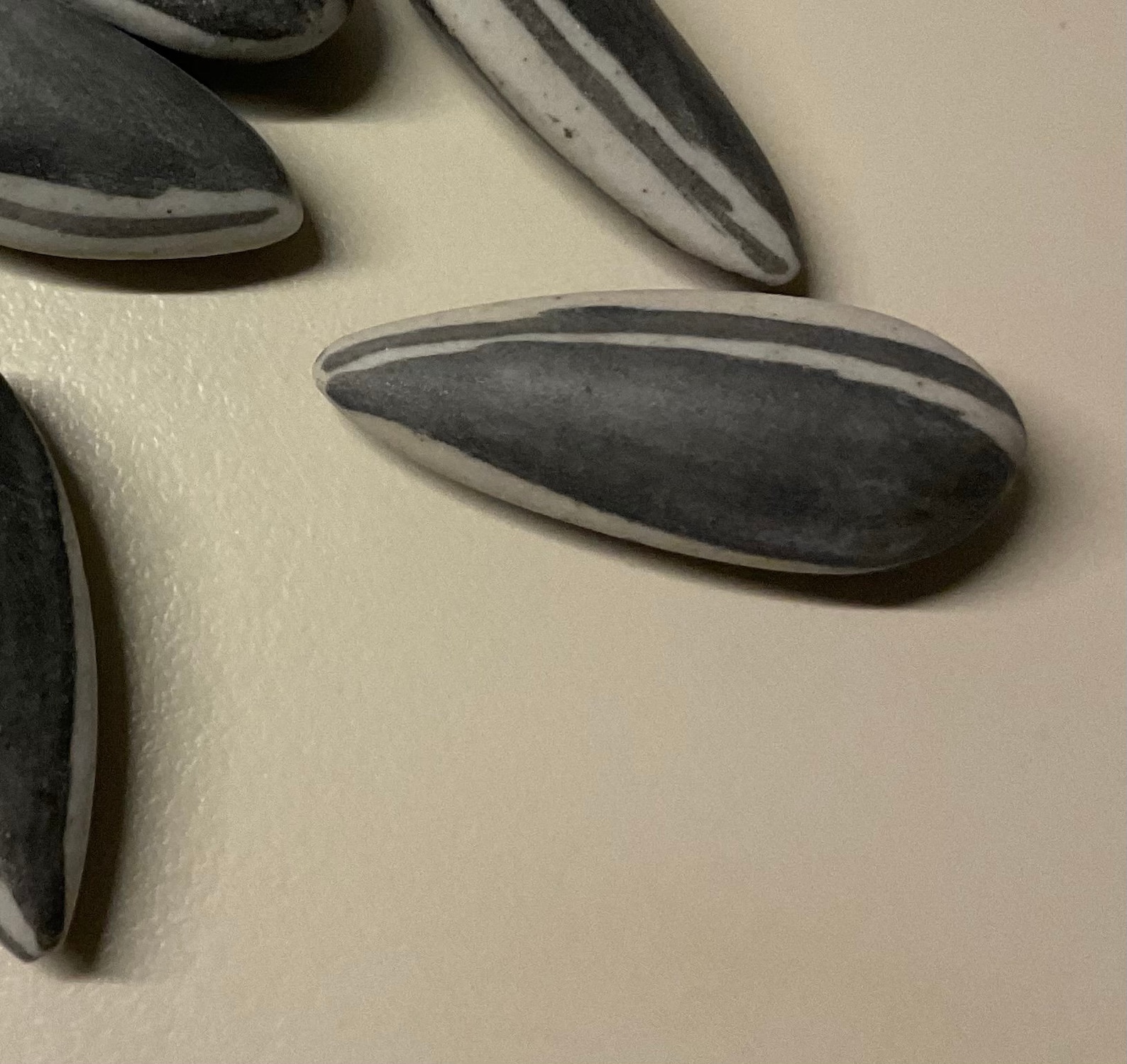 Ai Weiwei 10 Porcelain Sunflower Seeds, With Jute Bag Etsy