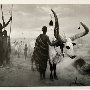 Sebastiao Salgado – Fotolithografie in limitierter Auflage, 33 x 25 cm