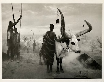 Sebastiao Salgado - Limited edition photolithograph, 33x25 cm