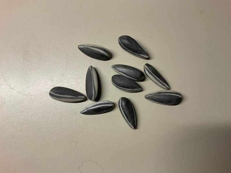 Ai Weiwei 10 Porcelain Sunflower Seeds Etsy