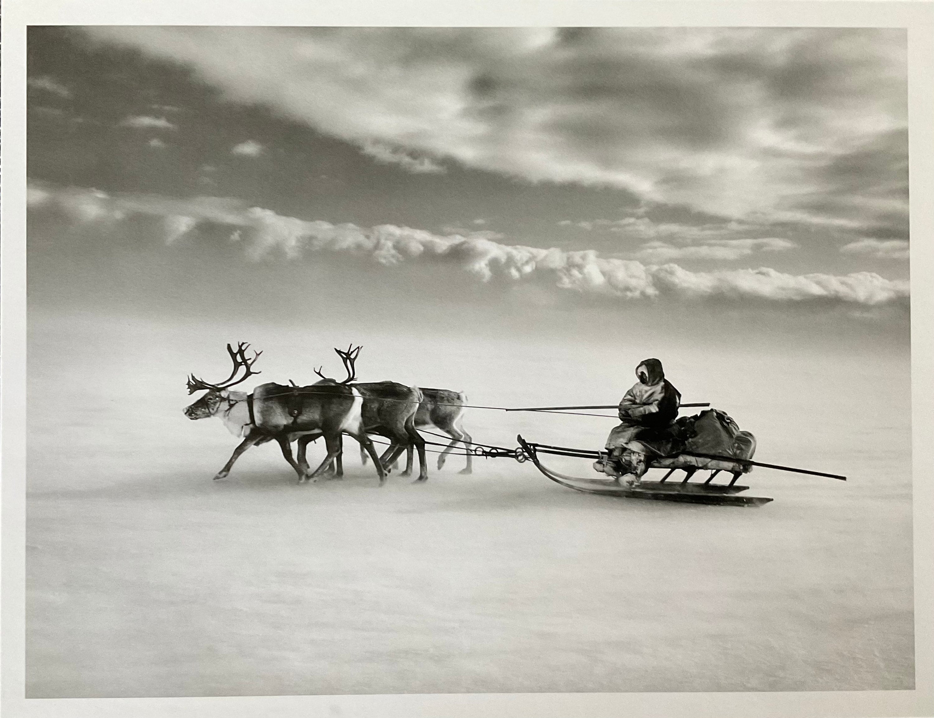 Elliott erwitt - Etsy 日本