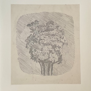 Giorgio Morandi - Vaso con fiori - 1984, cm 43x33 opera su carta edizione limitata