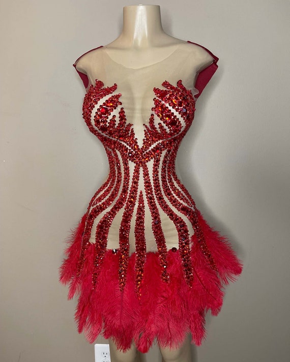 The Shonda Crystal and Ostritch Feather Velvet Mini Dress | Etsy