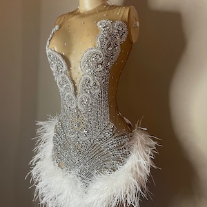 The Leila crystal and feather dress w/ rhinestones
