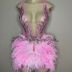 The Dana 2.0 PINK feather and crystal embellished dress spandex dress