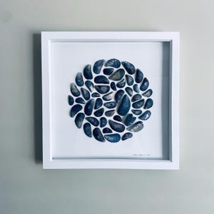 Cornish Mussel Shell Art Picture • Handmade in Cornwall