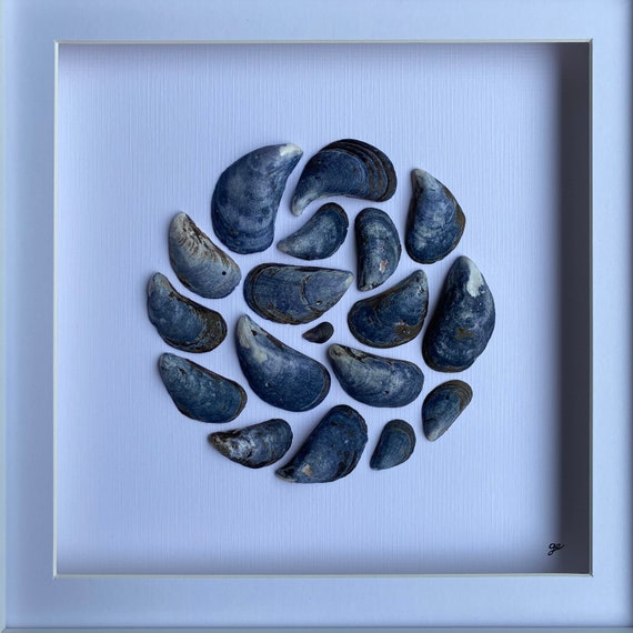 Cornish Mussel Shell Mandala Picture • Framed Coastal Wall Art