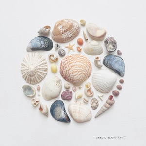 Könnte beinhalten: Eine kreisförmige Anordnung verschiedener Muscheln, darunter zweischalige Muscheln, Spiralschalen und ein kleiner Seestern. Die Sammlung zeigt Töne in Weiß, Beige, Braun, Grau und Violett. Der Text 1334's BEACH ART steht unten rechts.