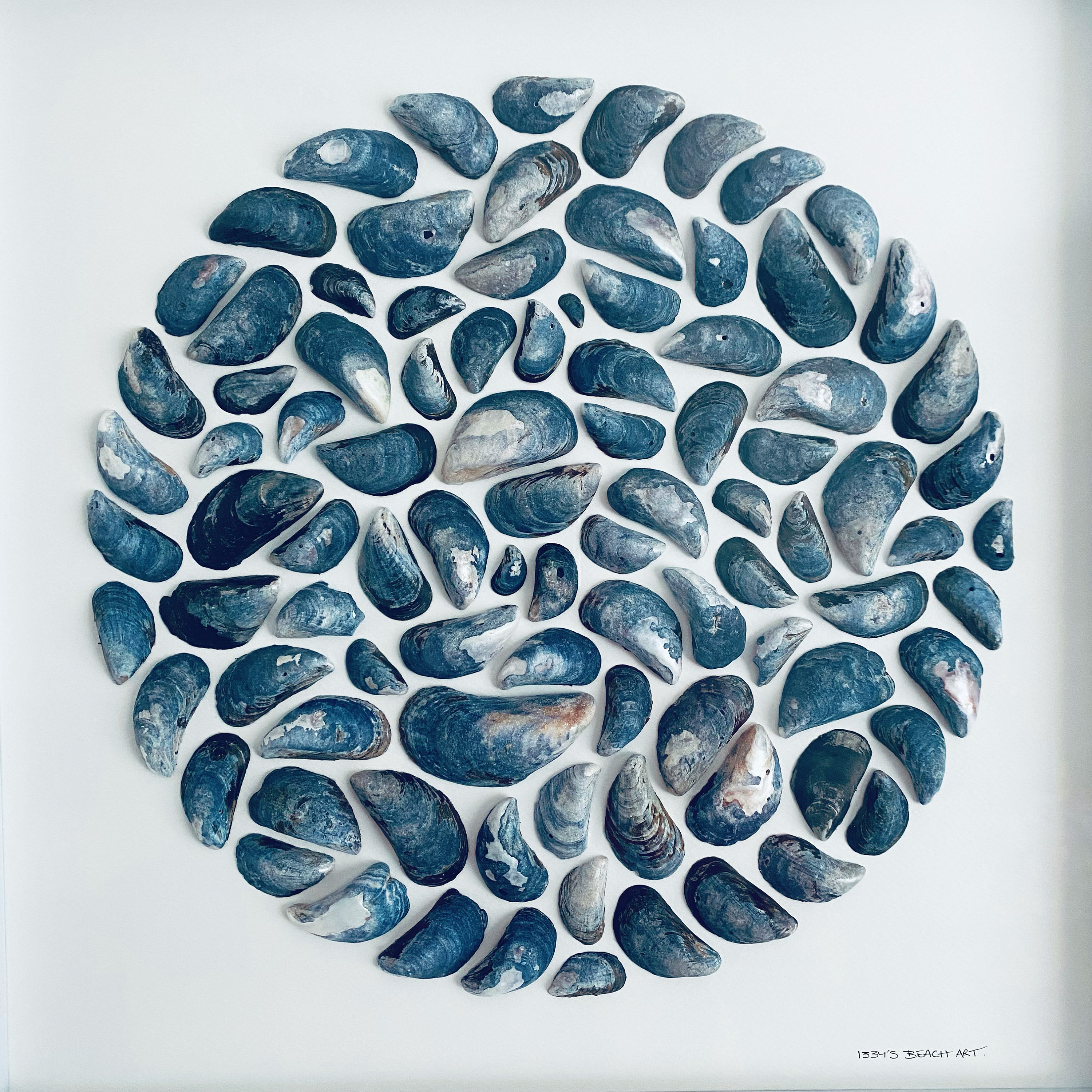 特大コーンウォール産ムール貝の曼荼羅額入り絵画 • 貝殻アート • 海岸