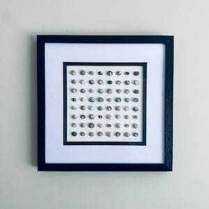 May include: A framed artwork featuring a grid of small, white, gray, and brown seashells. The shells are arranged in a grid pattern and are framed in a black frame.