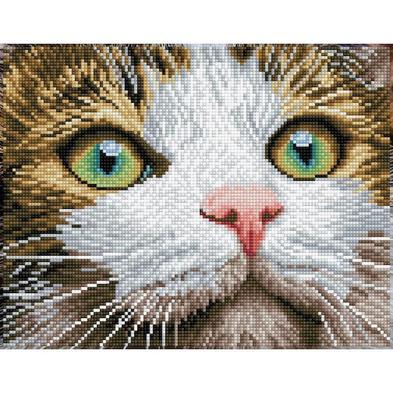 Diamond Dotz Green Eyed Beauty Facet Art Kit Cats Diamond Etsy