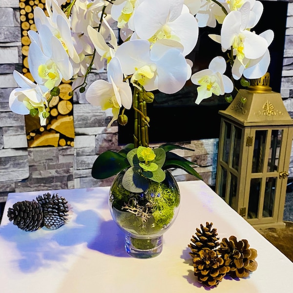 LOUVRE PARIS- white orchid in clear glass bowl - Orchids Plant Arrangement Artificial - Real touch Faux Orchid and Moss floral display