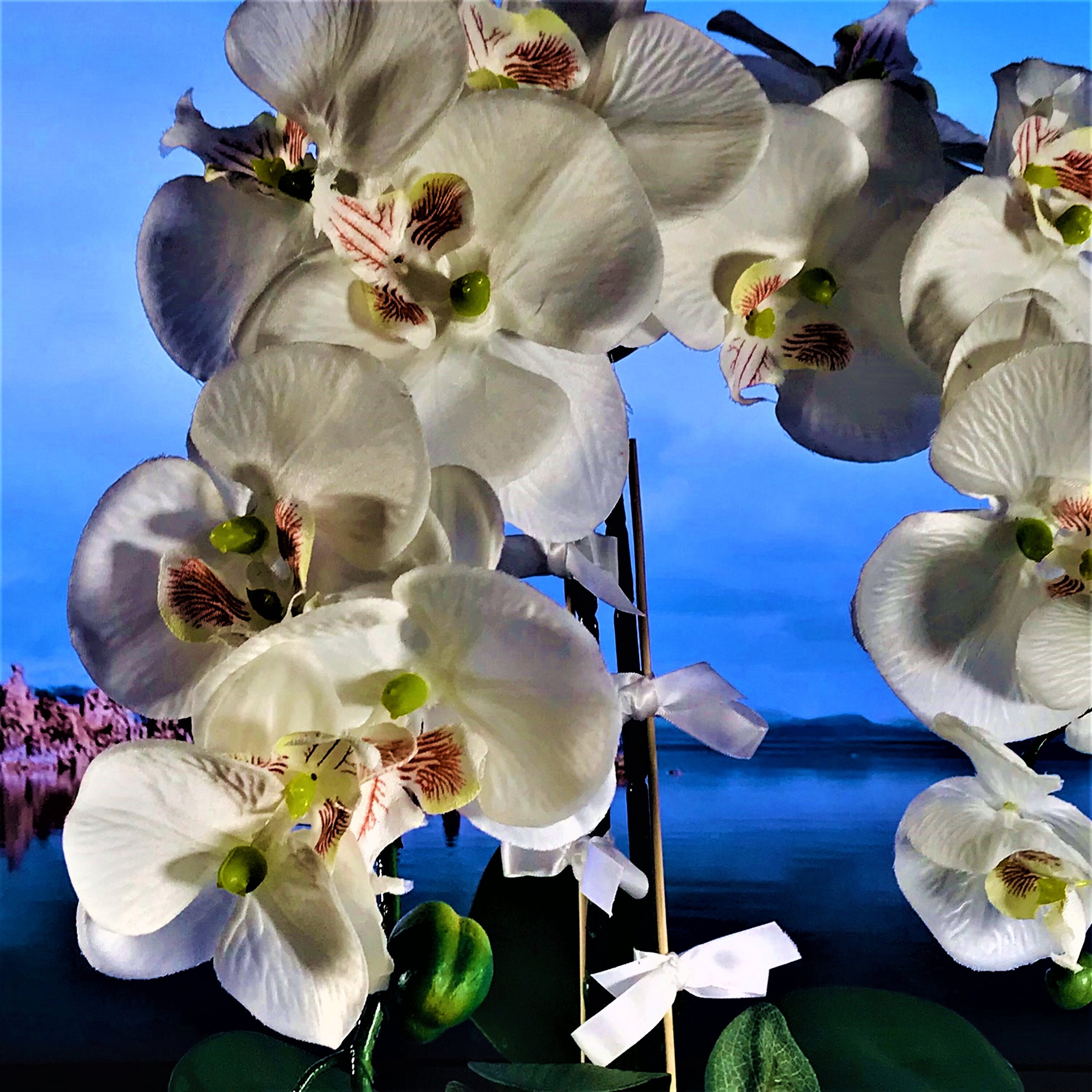 Real Touch Orchid/Faux Orchid/Premium Silk Orchid/Faux Orchid Etsy