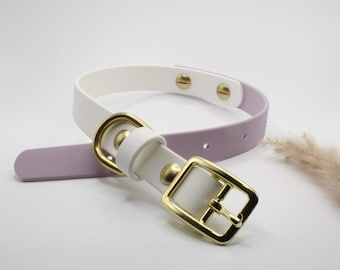 Two-Tone BioThane® Buckle Dog Collar | Waterproof, Durable, Custom Pet Collar