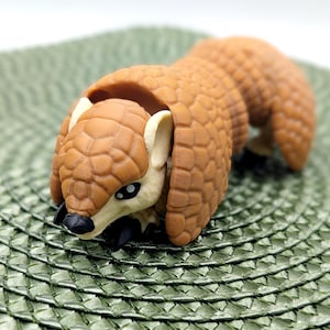 Articulated Armadillo - 3D Printed Flexible Figurine | Poseable Desk Toy & Unique Gift