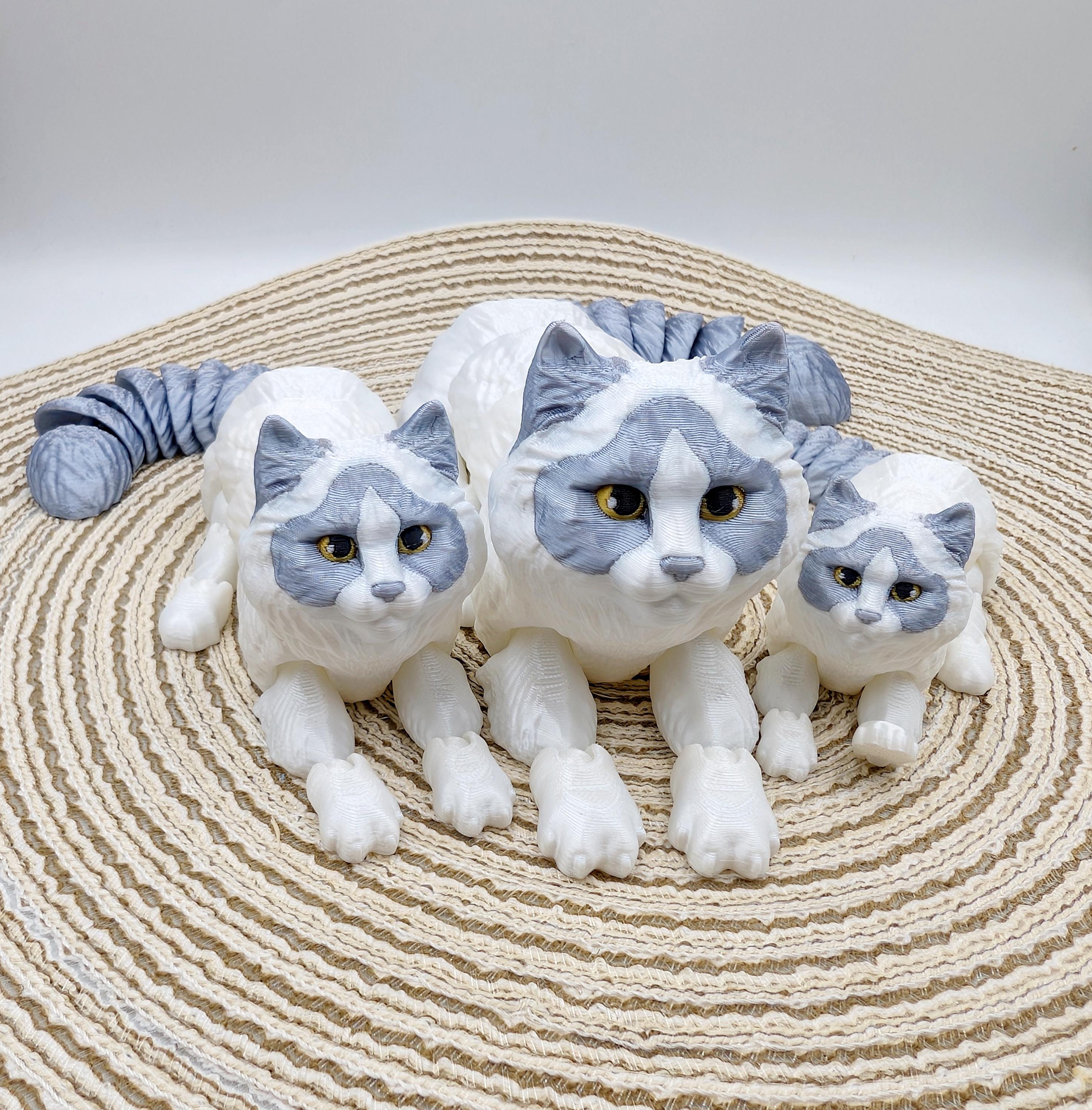 【完売品】ダイヤモンドアートクラブ　Rolo the Ragdoll Cat Mr.Z 1/6 Ragdoll Figure – Lana Time Shop