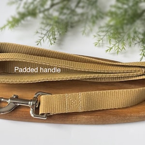 Beige webbing dog lead
