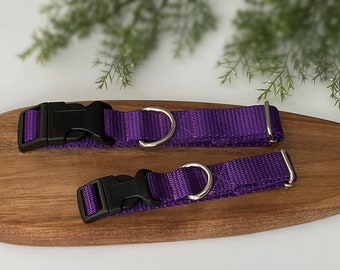 Purple webbing dog collar, optional lead available
