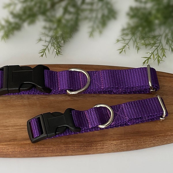 Collar para perros con correa morada, correa opcional disponible