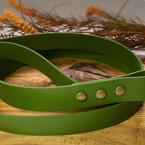 Forest green bioThane dog lead, matching collar available