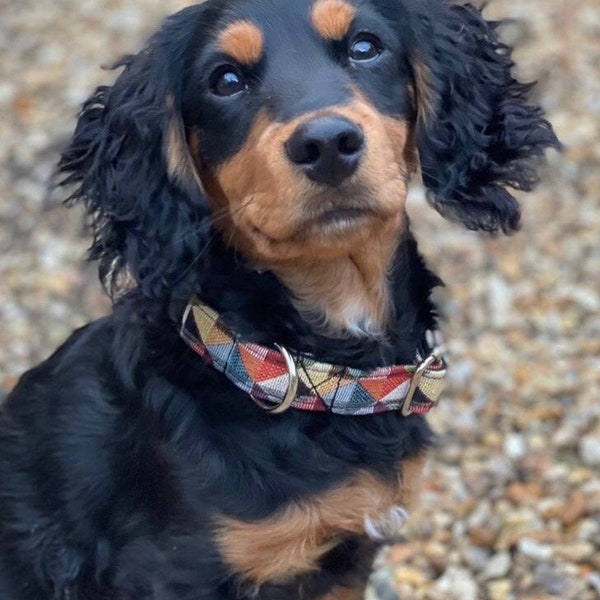 Harlequin dog collar, optional matching lead available